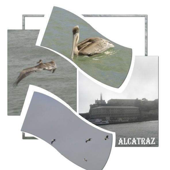 ALCATRAZ
