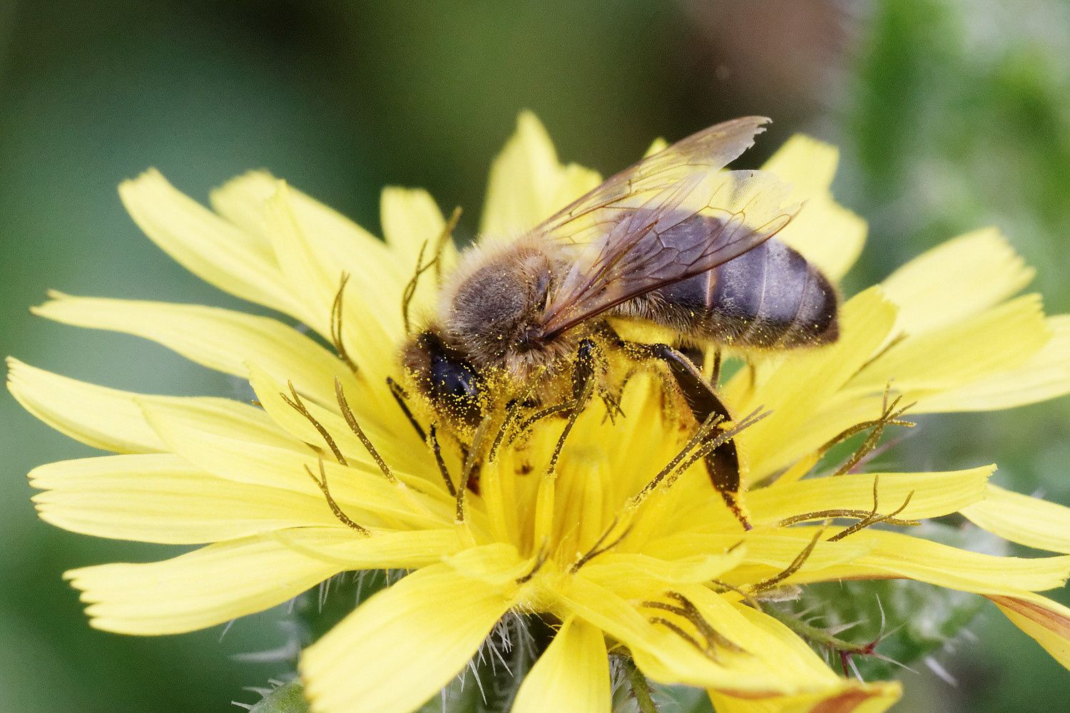 265 - Ils nous donnent RDV en 2017 ! : 01/10/2016