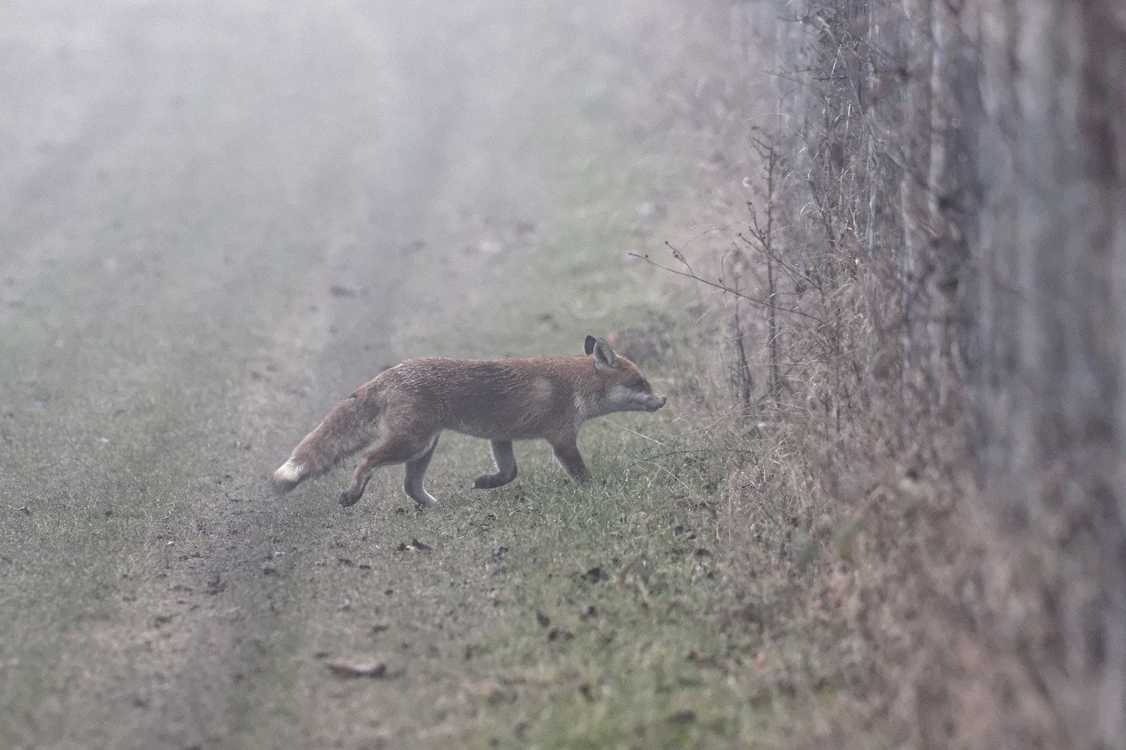 276 - Ce n'est jamais pareil, la patience fait la différence ! : 10/12/2016