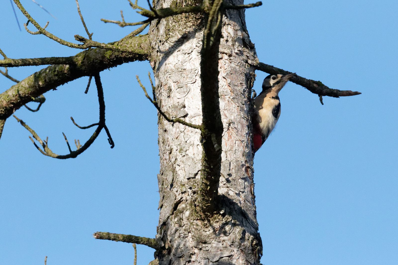 339 - Excitation, fascination et ... admiration ! 22/11/2017