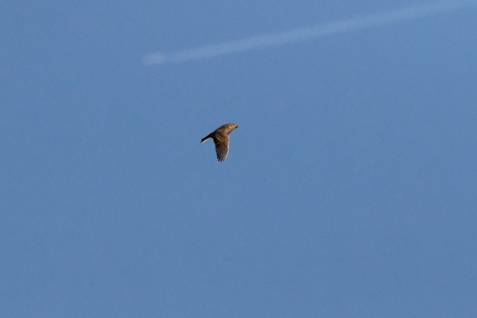 339 - Excitation, fascination et ... admiration ! 22/11/2017