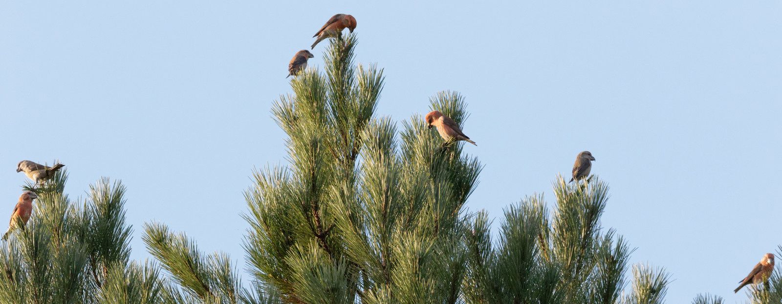 339 - Excitation, fascination et ... admiration ! 22/11/2017