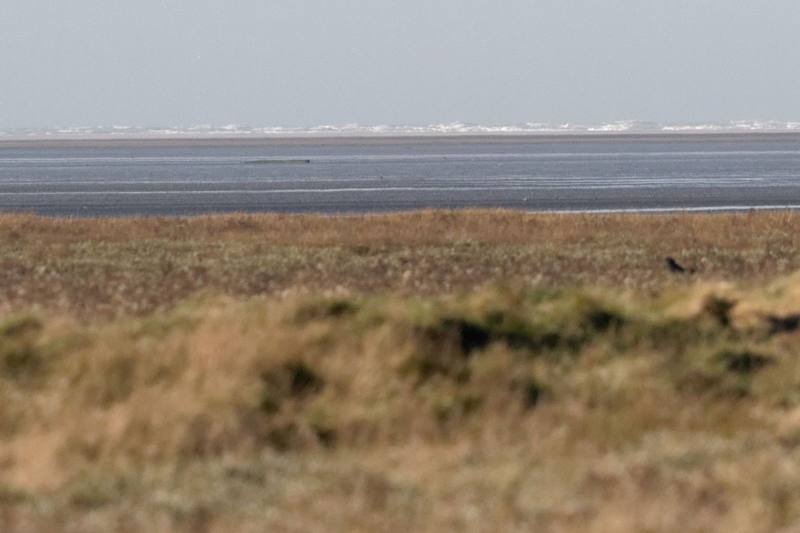 339 - Excitation, fascination et ... admiration ! 22/11/2017