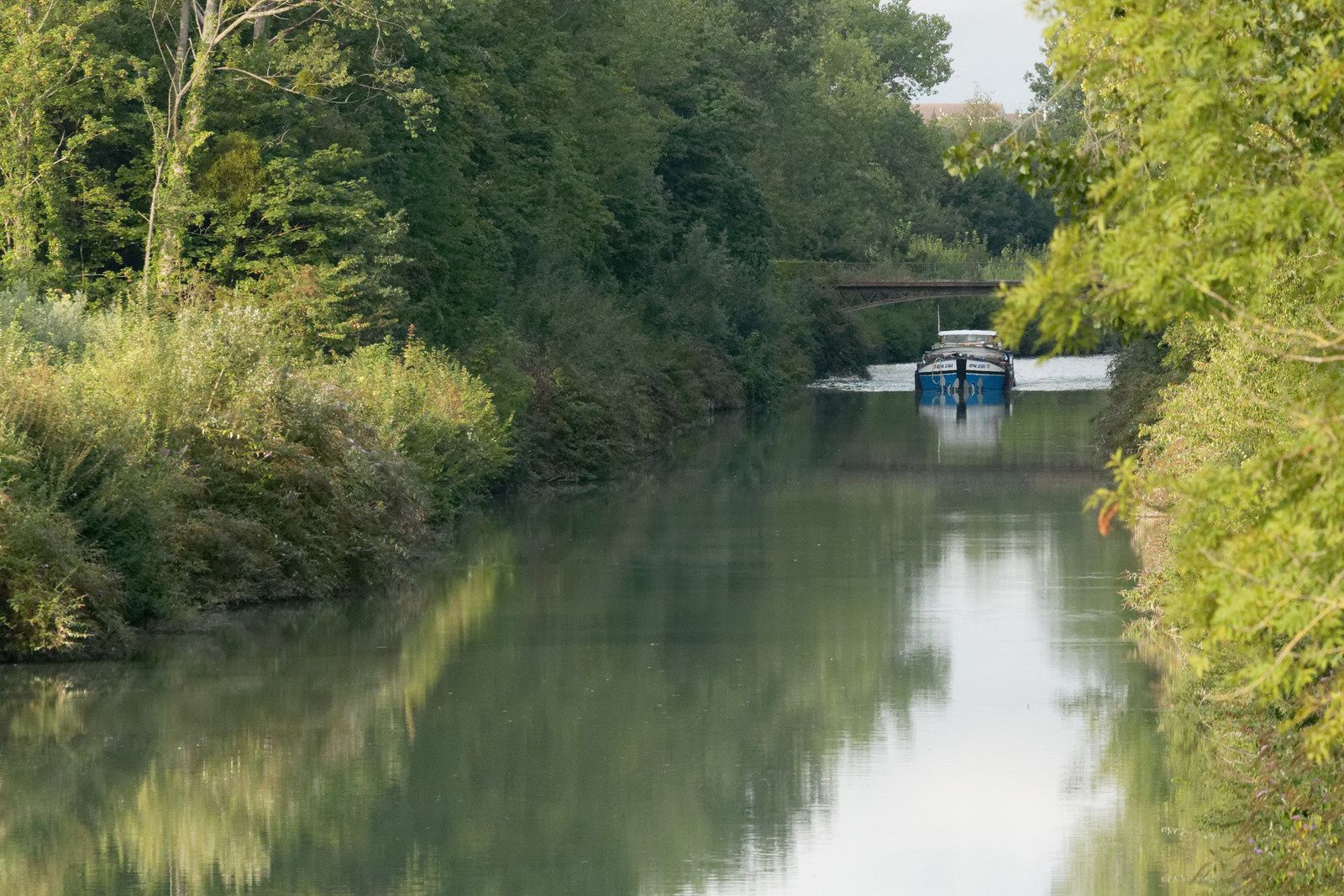 407 - A midi, les Odonates vont claquer des dents ! Mais qui peut le dire ? : 25/08/2018