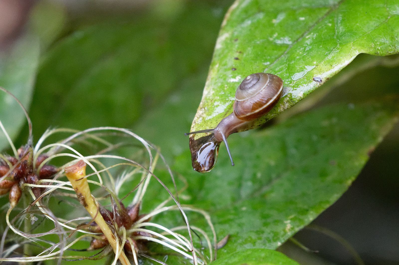 Beau carenage, n'est-ce-pas ?