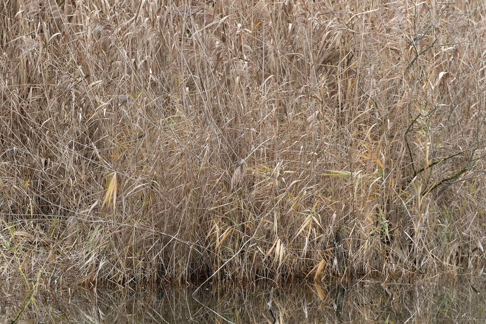 488 - Un conseil, ne jamais rater les bonnes opportunités ! : 07/12/2019