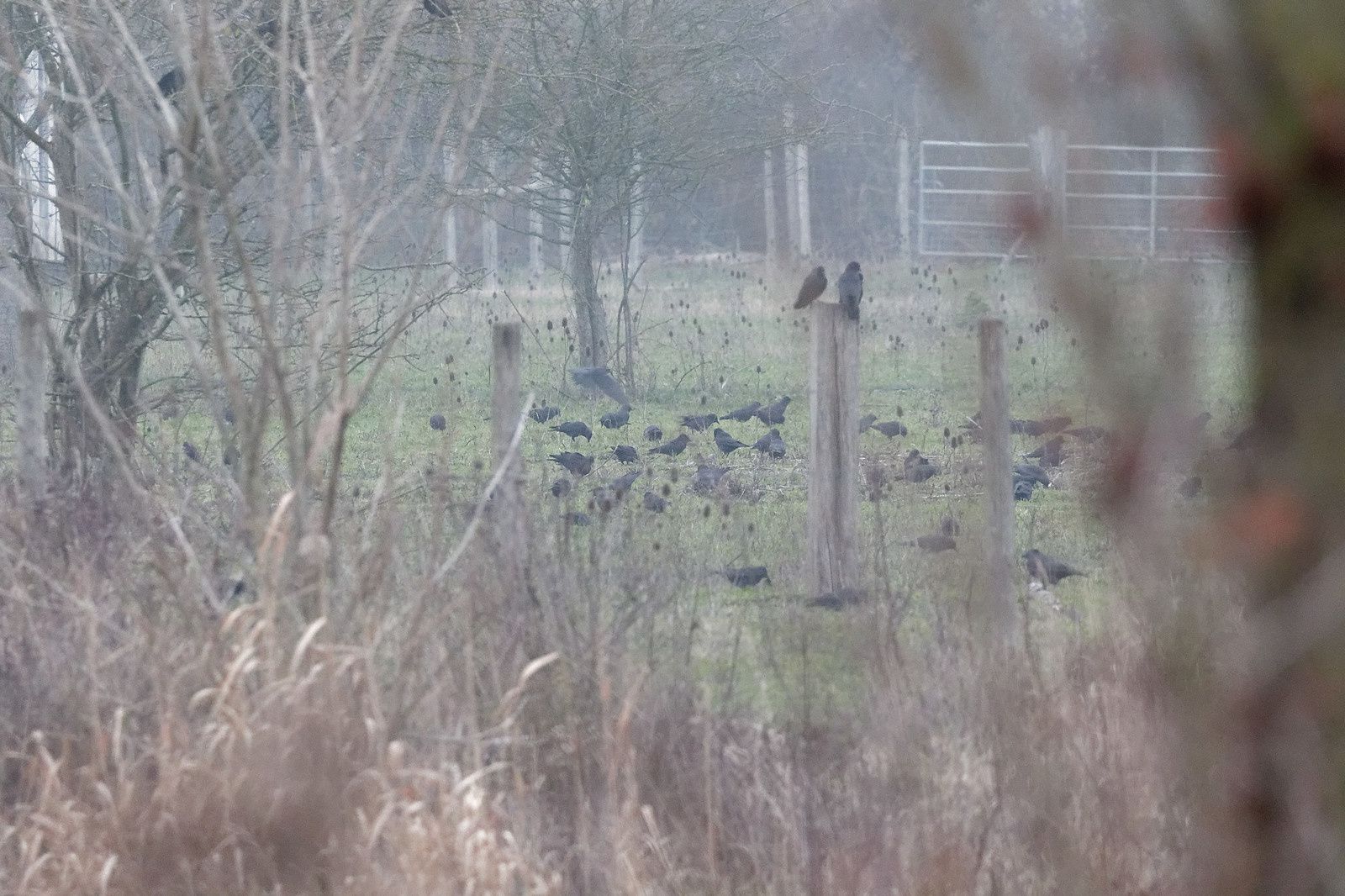 488 - Un conseil, ne jamais rater les bonnes opportunités ! : 07/12/2019