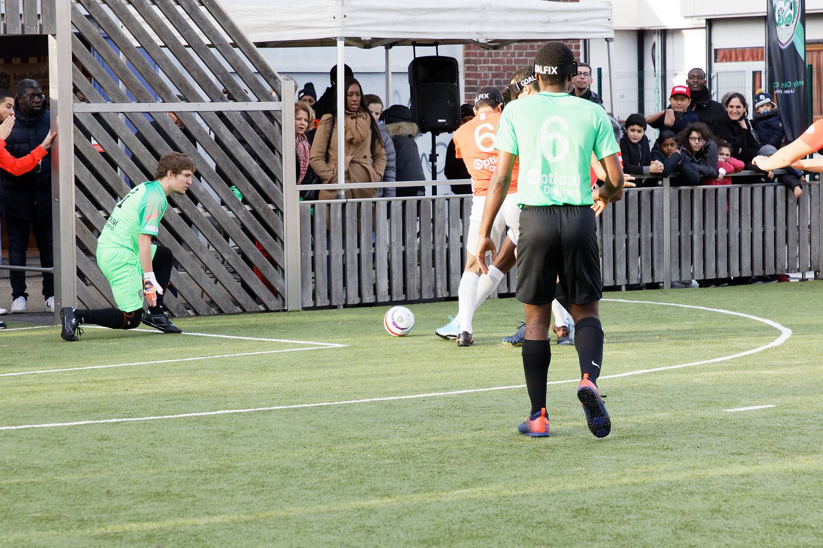 489 - Corneus corneus, un Gastéropode aquatique de la Haute-Île : 14/12/2019