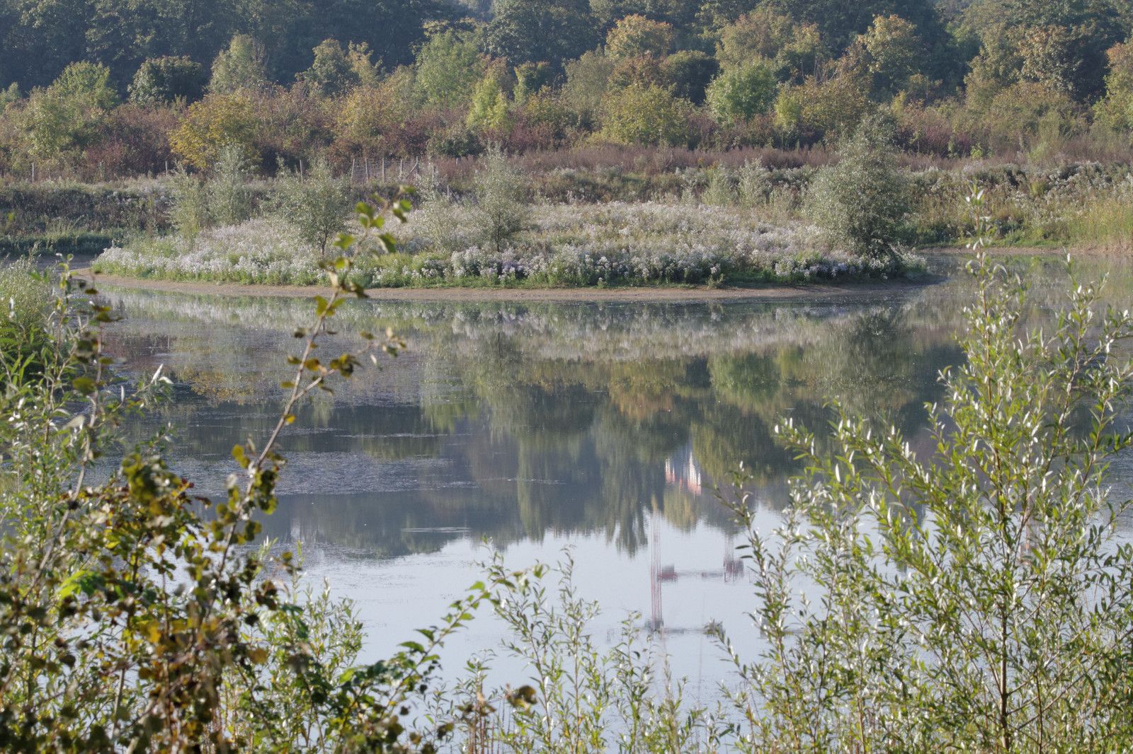 1 - Le parc départemental la Haute-Île en Seine-Saint-Denis : introduction