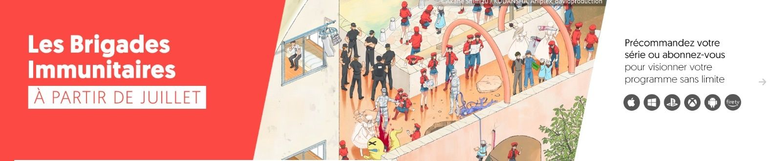 Les Bridages Immunitaires débarquent en simulcast sur Wakanim !