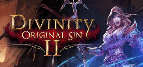 Divinity: Original Sin 2 - Édition Définitive
