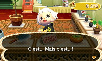 Les outils : - Animal Crossing New Leaf
