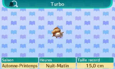 Les fonds marins (maillot) : - Animal Crossing New Leaf