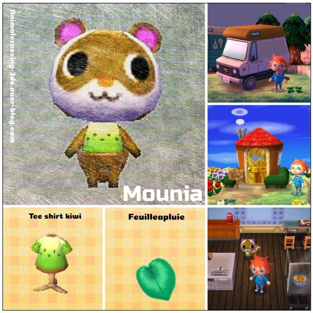 Newsletter 205 : - Animal Crossing New Leaf