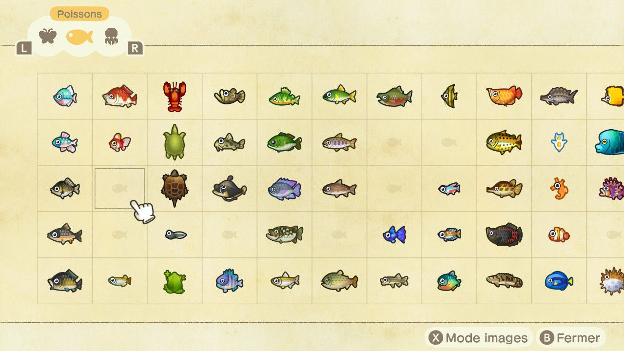 Les poissons (New Horizons) en cours.... Animal Crossing New Leaf