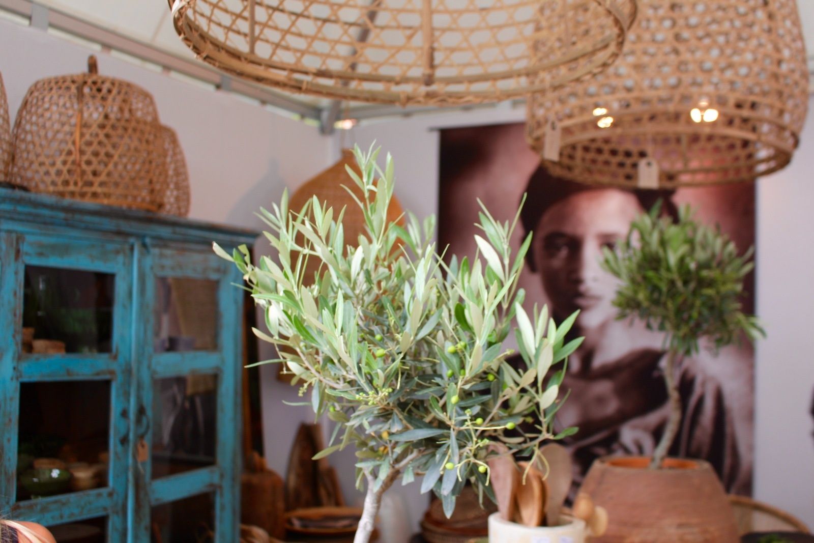 Salon vivre côté sud - Décoration, Jardin, Saveurs