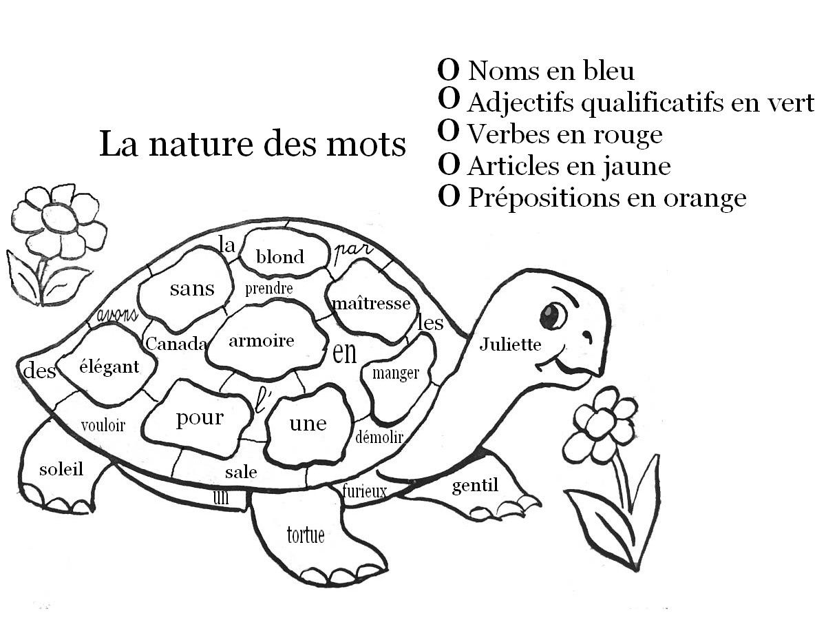 Coloriage magique la nature des mots la tortue La