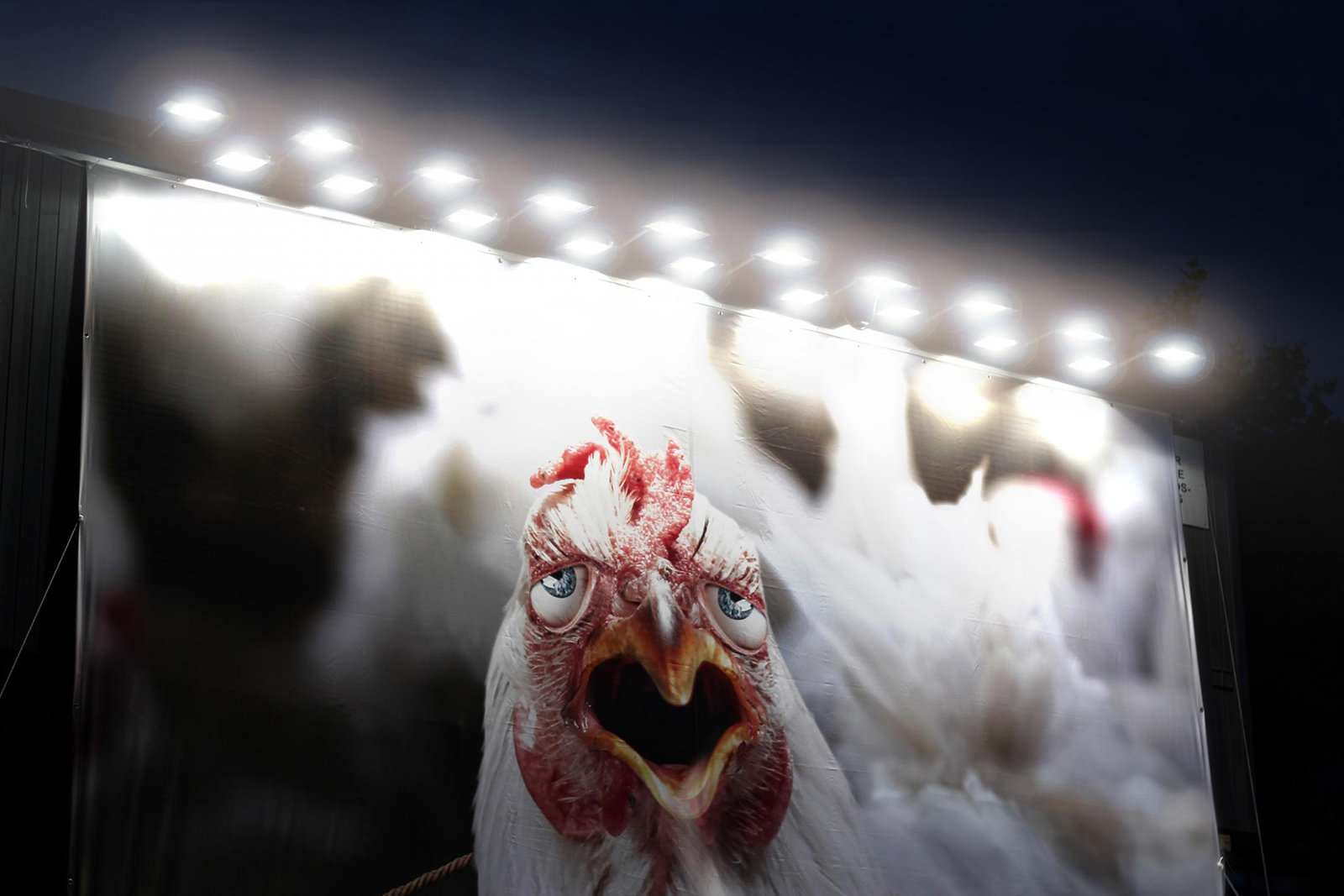 Panneau pubicitaire dénonçant l'élevage industriel de poulet