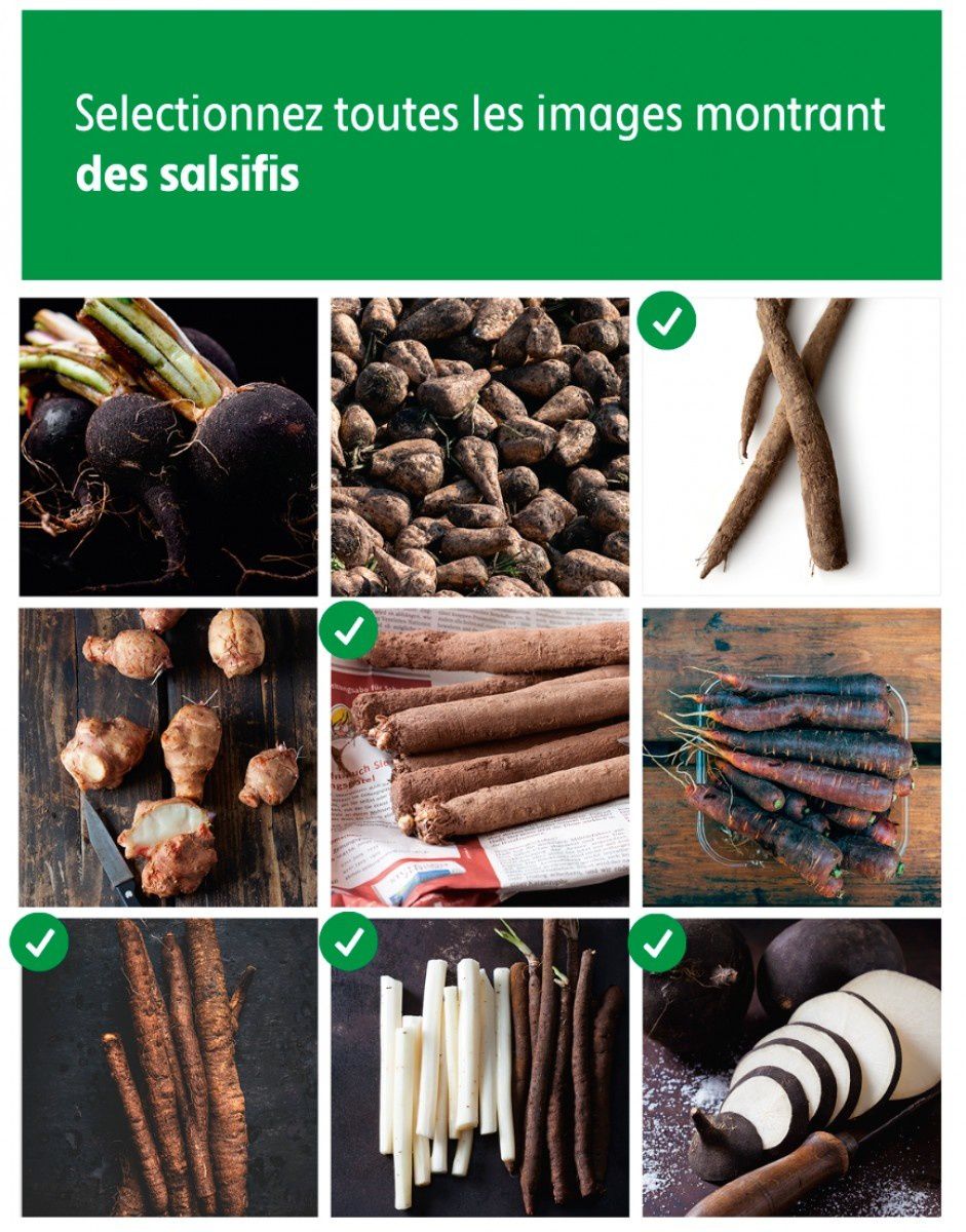Intermarché : « Vous ne connaissez pas les captchas » - Salsifis