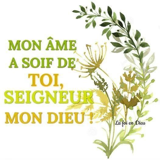 Psaume 62 63 Mon Ame A Soif De Toi Seigneur Mon Dieu Paroisse De Colomiers Diocese De Toulouse Psaume 62 63 Mon Ame A Soif De Toi Seigneur Mon Dieu Paroisse De Colomiers Diocese De Toulouse
