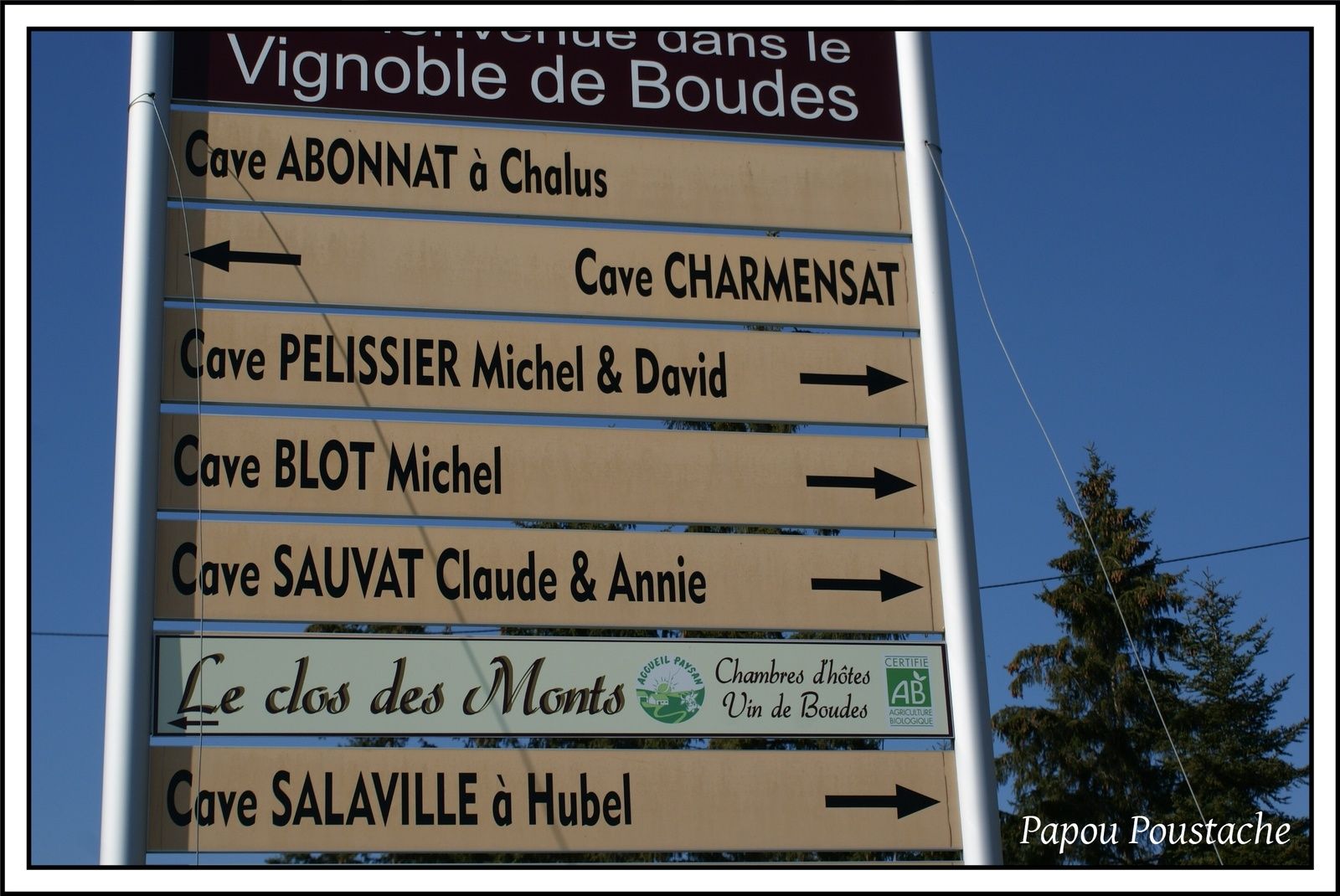 Les vins d'Auvergne:  Boudes
