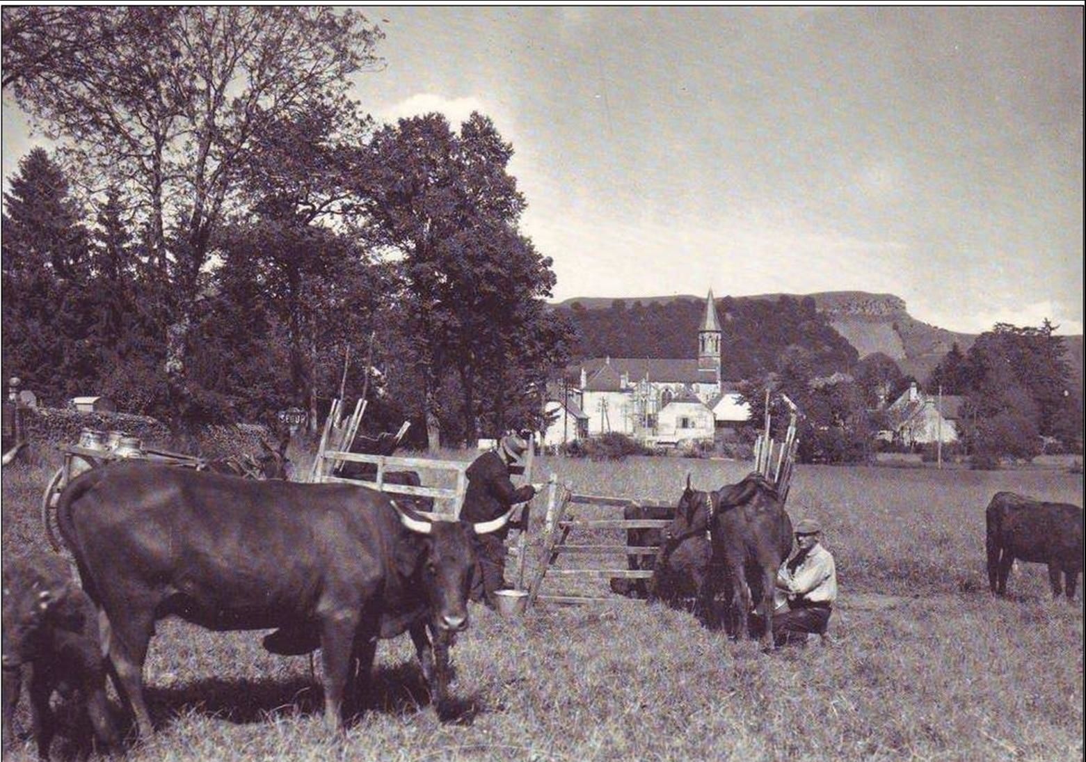 Au Hasard dans le village de Ségur