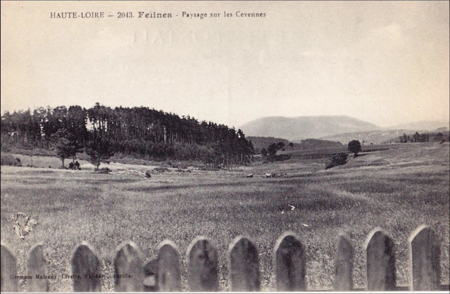 Il était une fois la Haute-Loire:Félines