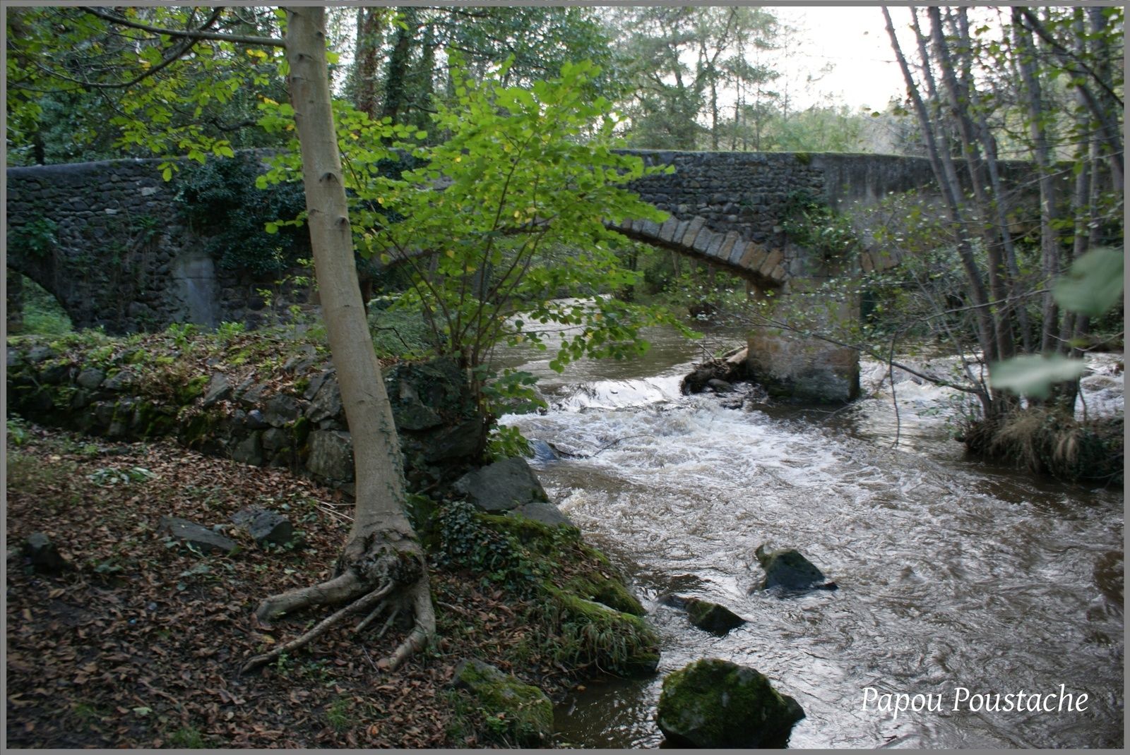 Au bord de la Couze à Néschers