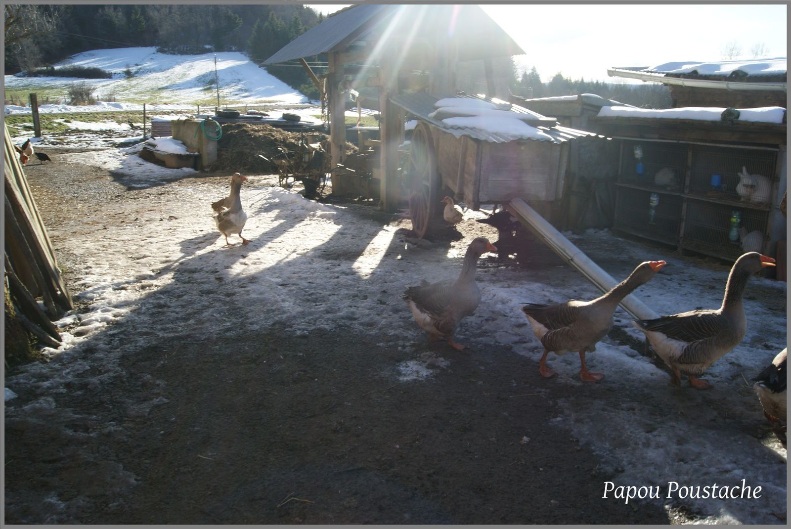 Une ferme comme il en reste peu en Auvergne