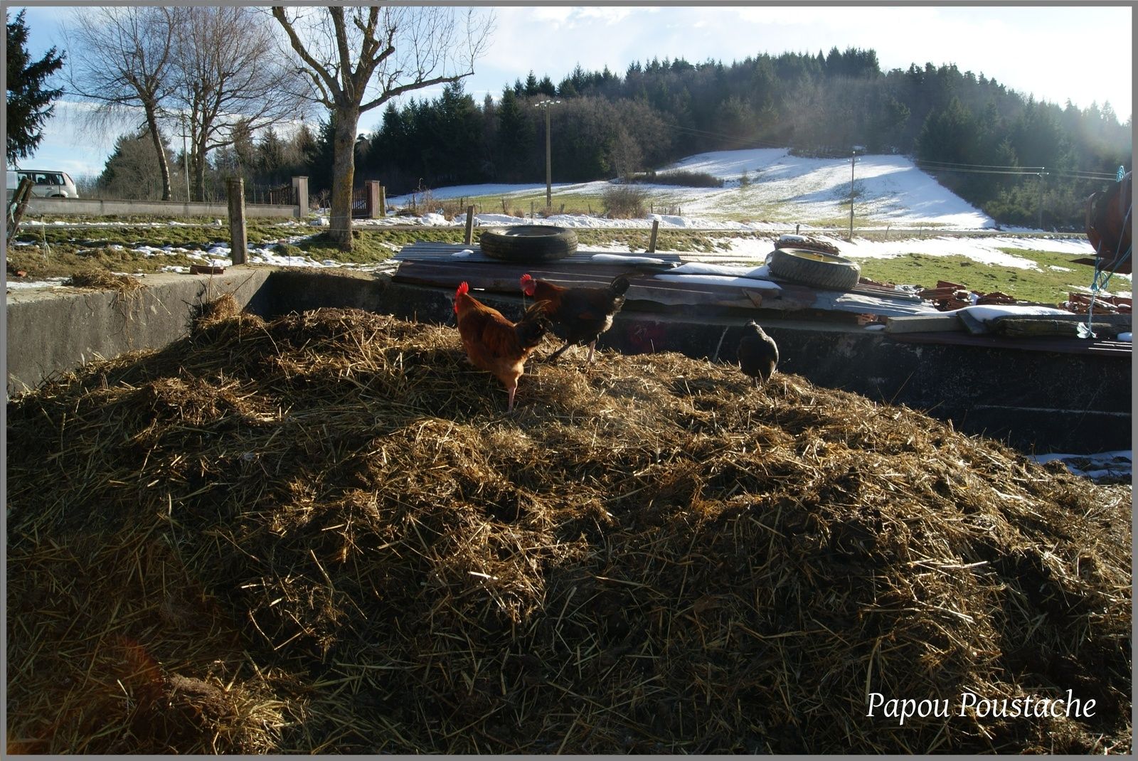 Une ferme comme il en reste peu en Auvergne