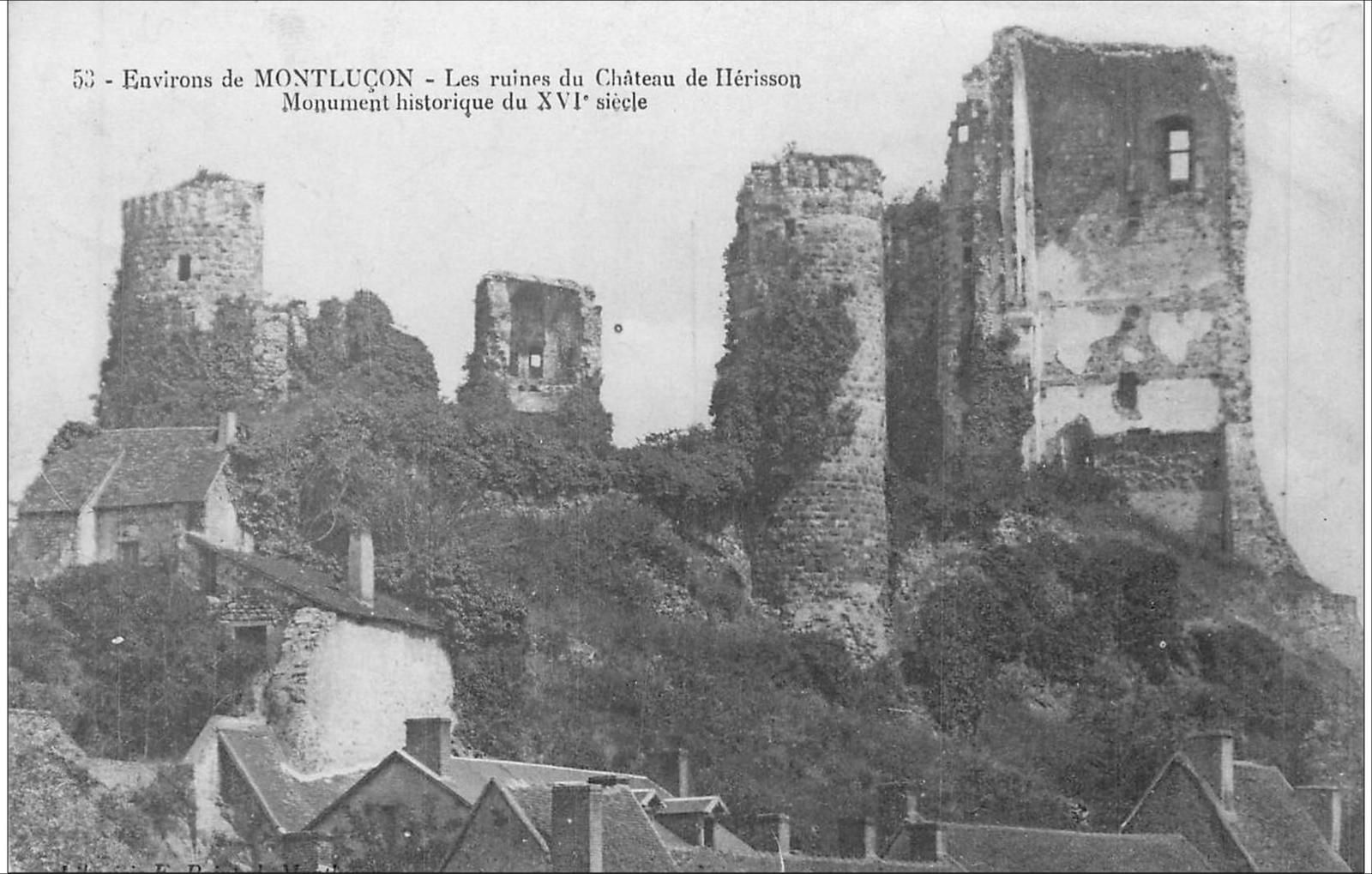 Il était une fois hérisson dans l'Allier