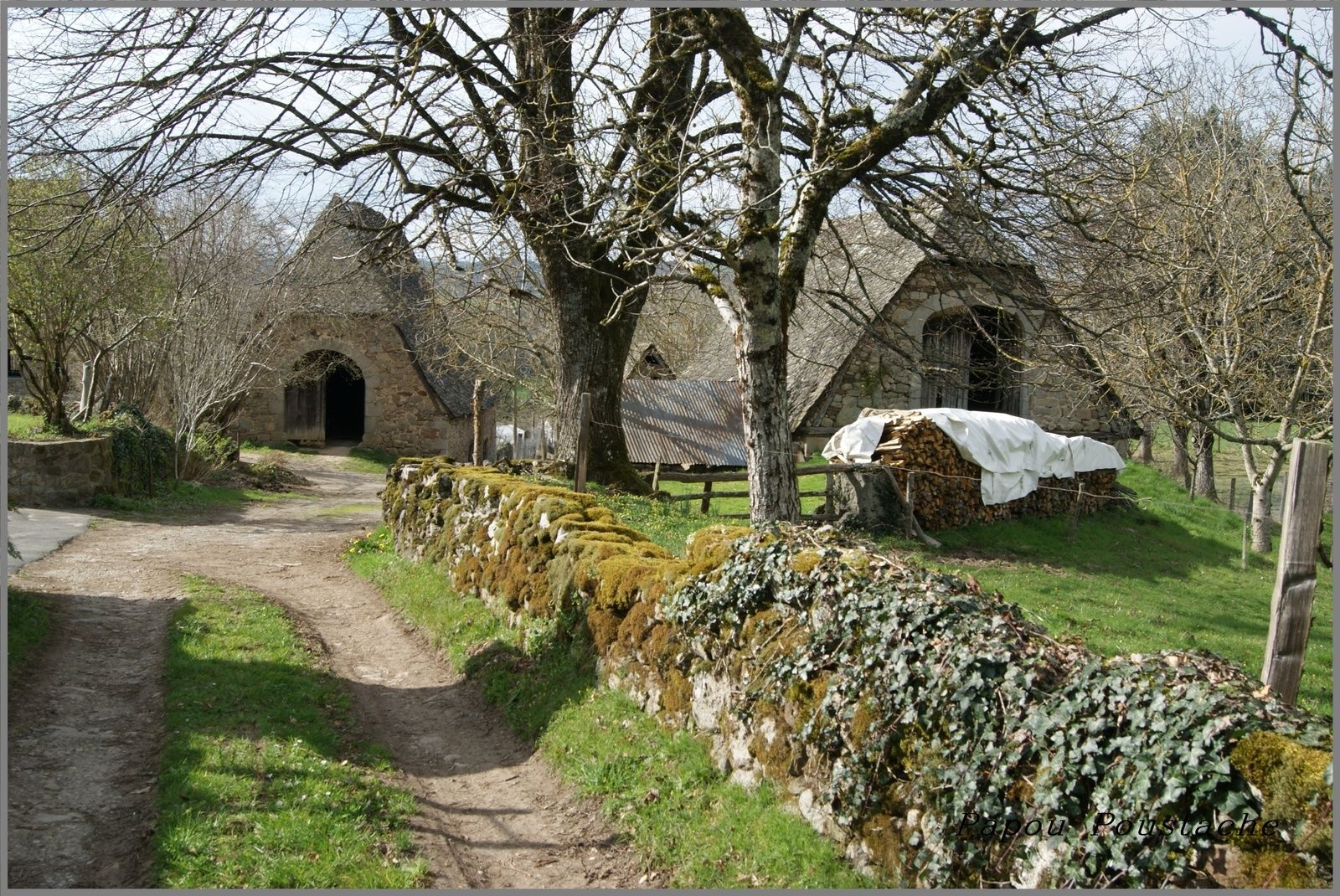 La châtaigneraie Cantalienne