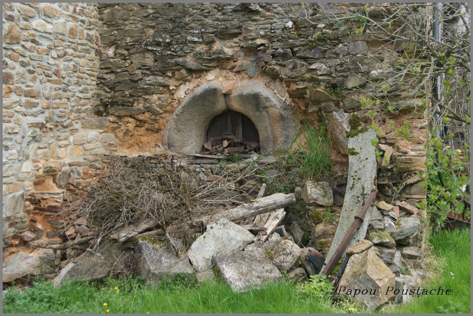 La châtaigneraie Cantalienne