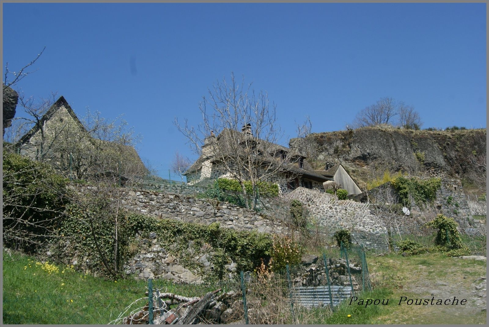 La châtaigneraie Cantalienne