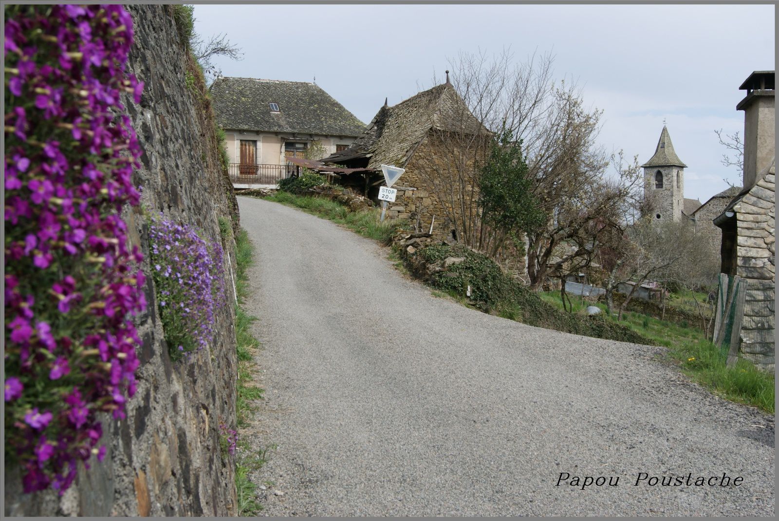 La châtaigneraie Cantalienne