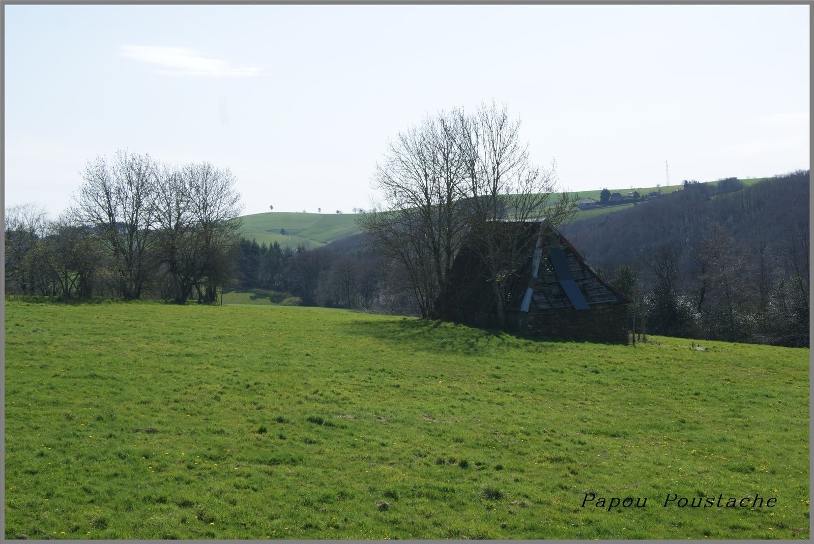 La châtaigneraie Cantalienne