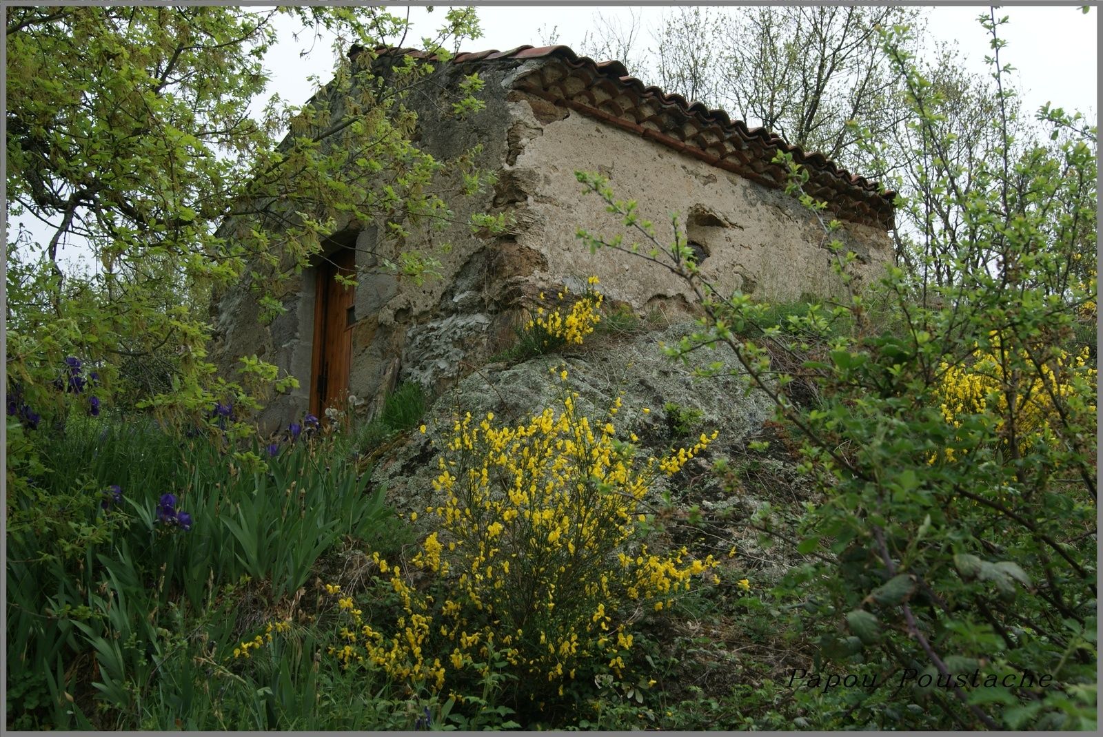 Un rucher en Auvergne