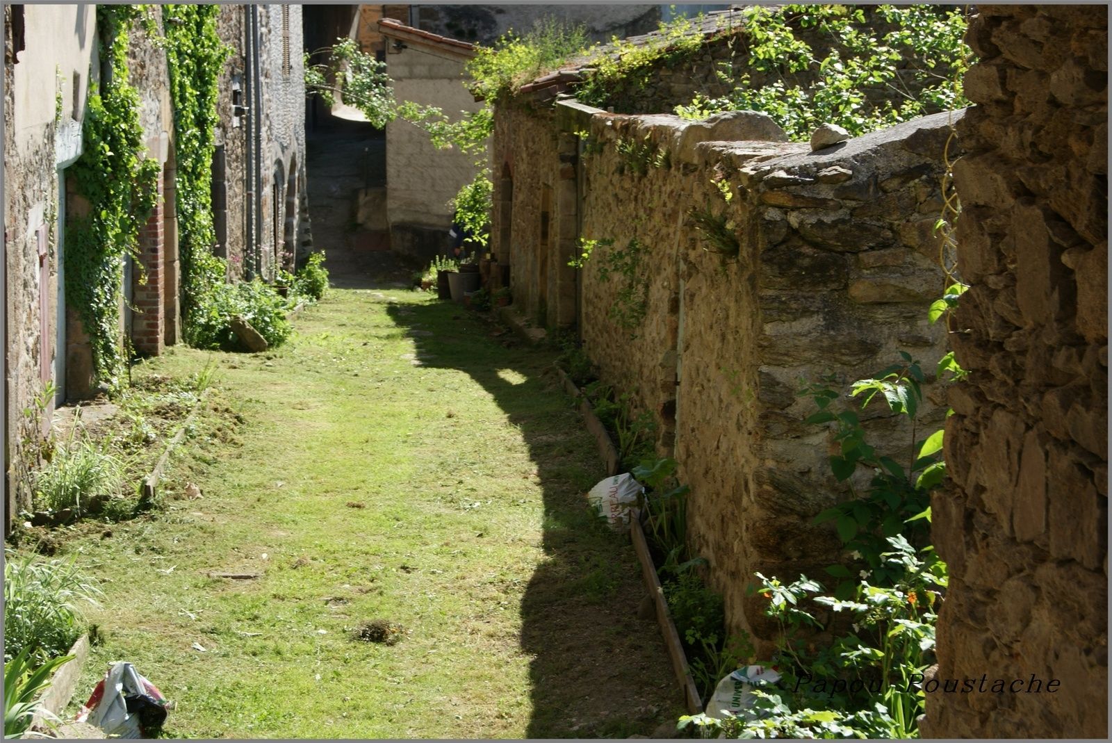 Autour de la collégiale