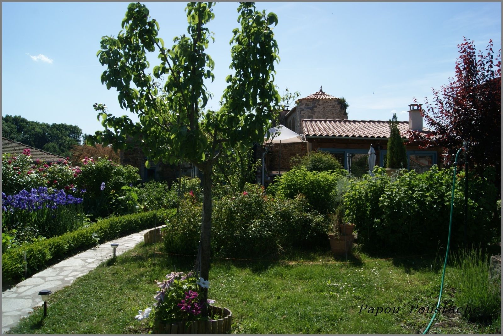 Autour de la collégiale