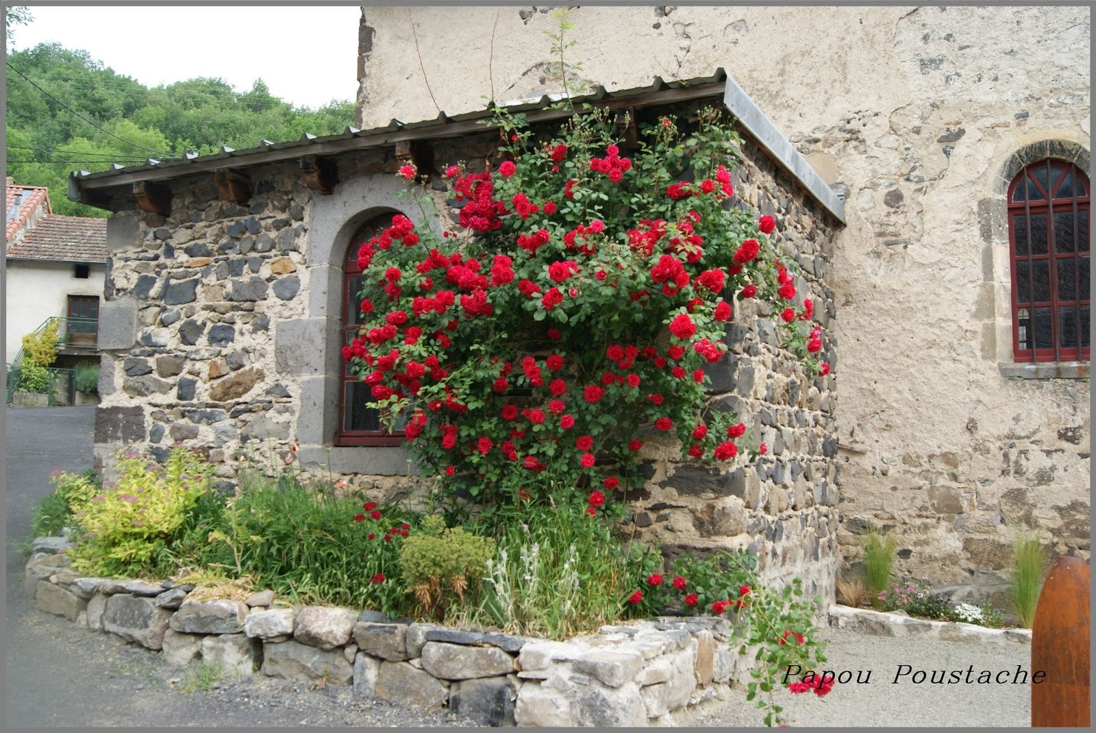 Courgoul