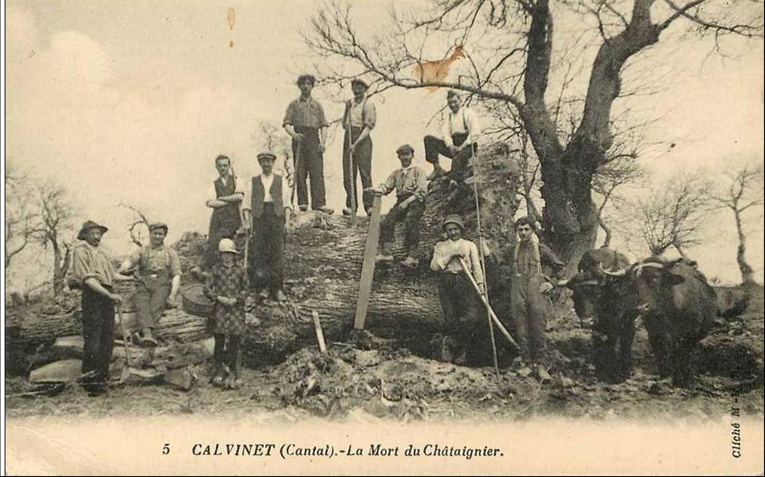 Calvinet d'autrefois