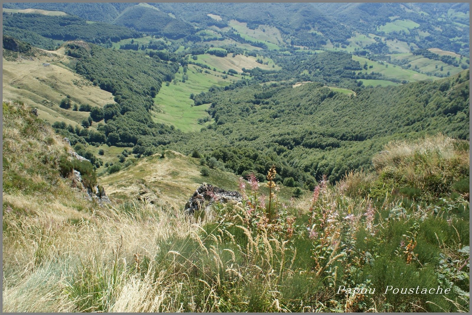 Le Puy Mary 