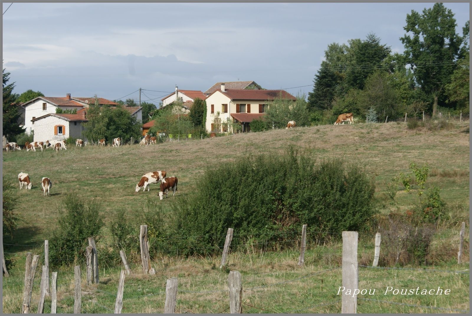 Randonnée à Sauviat dans le Puy de Dome