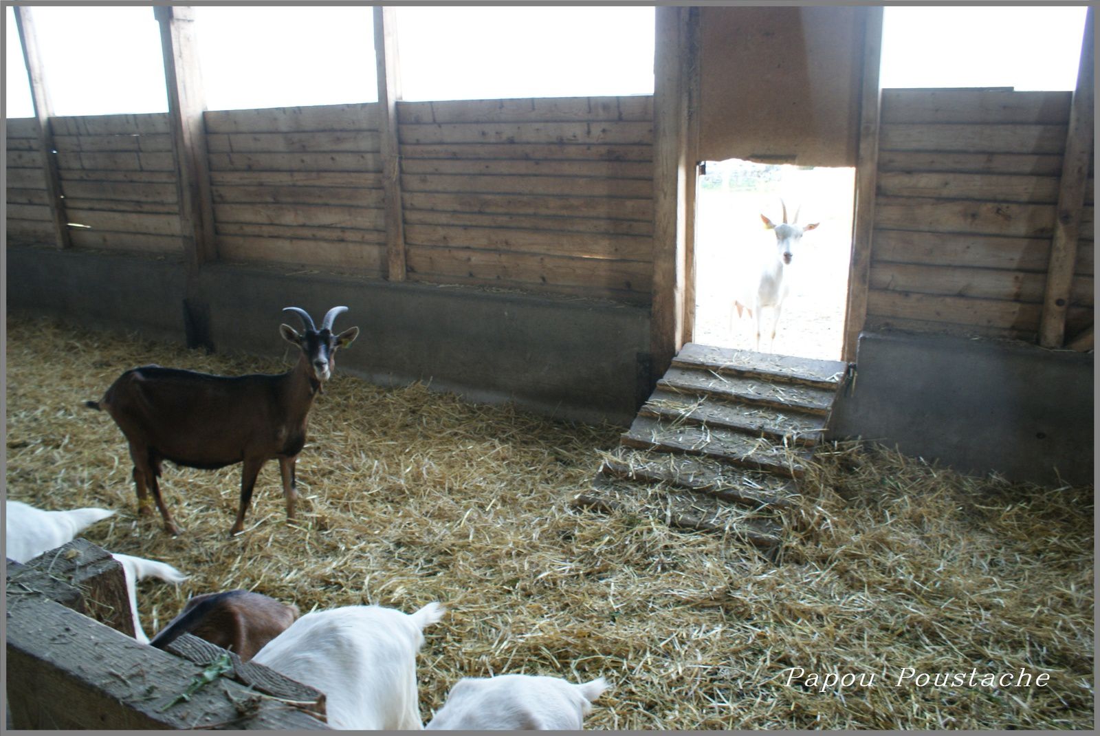 La ferme des Clochettes