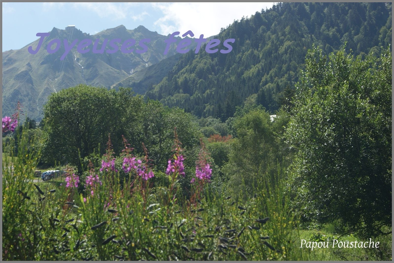Cartes de Voeux gratuites