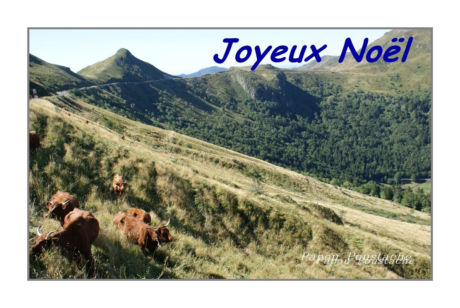 Cartes de Voeux gratuites