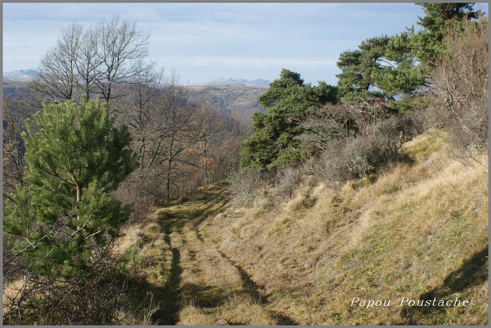 Balade autour de Chassagne 63
