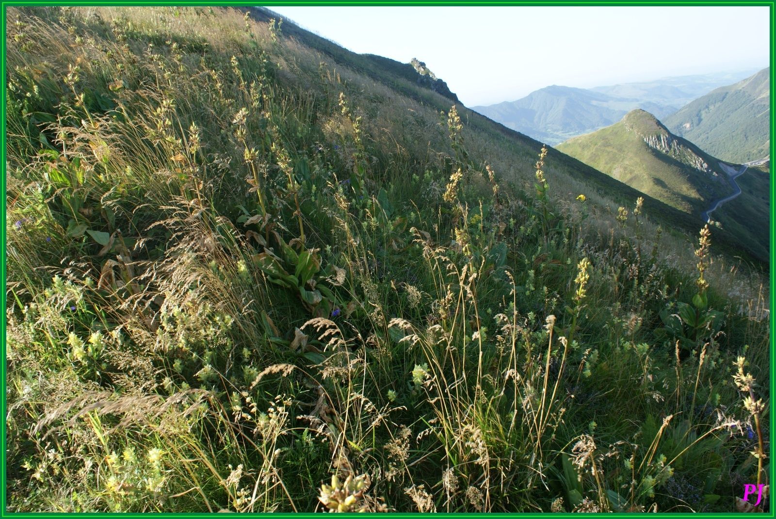 Le Puy Mary