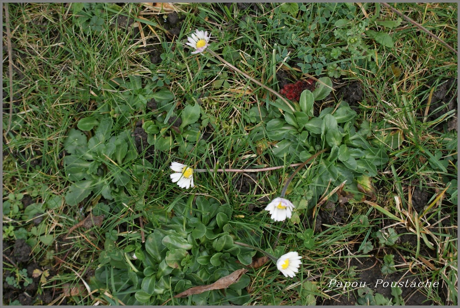 Randonnée autour de Sainte Florine