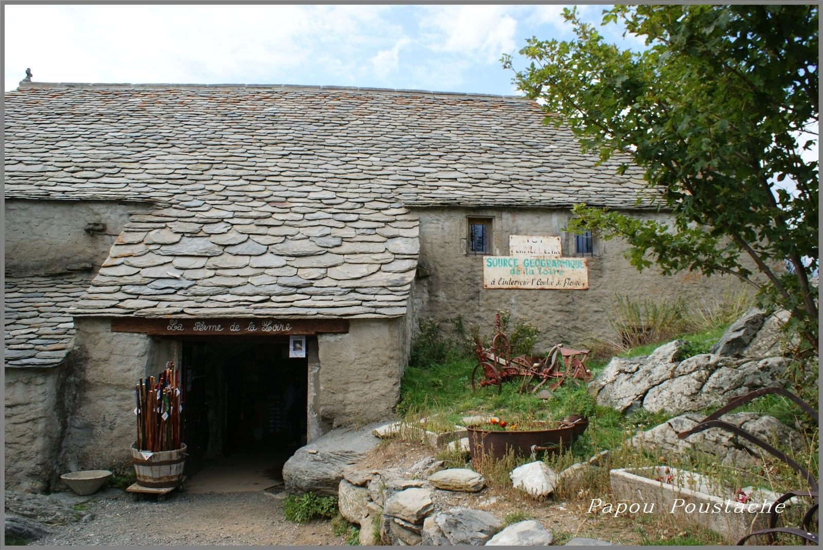 Le mont gerbier des joncs:Sucs et source de la Loire